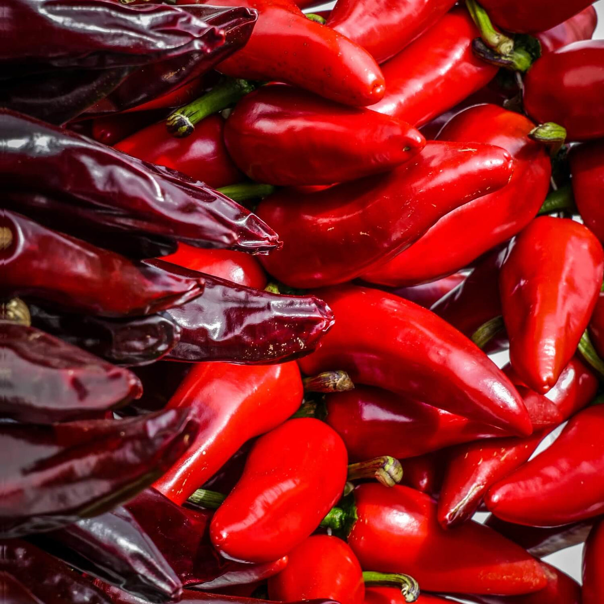Qu'est ce que le piment d'Espelette ?