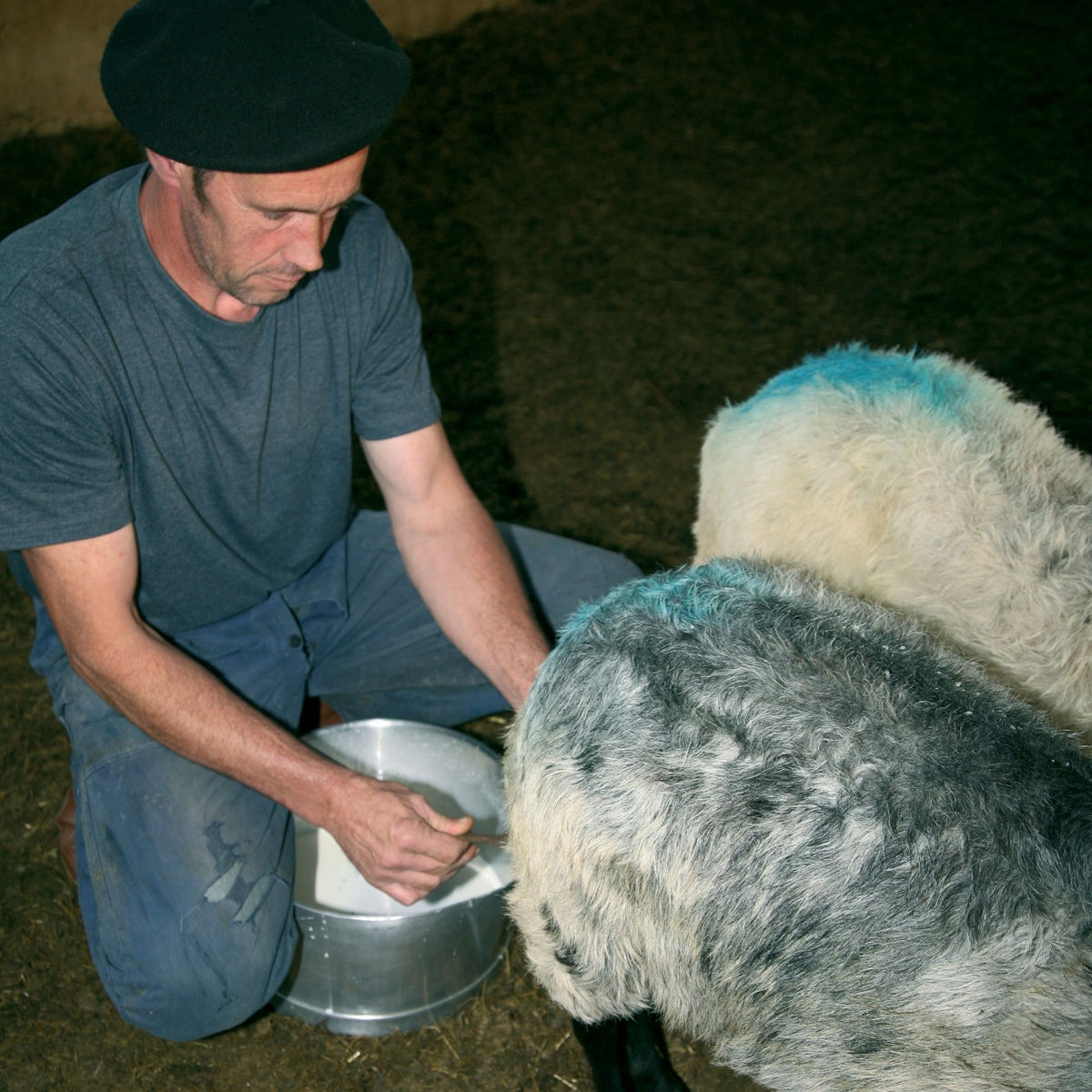 Respect des traditions ancestrales du pastoralisme local